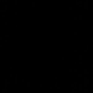 Meet your Posher, Savannah